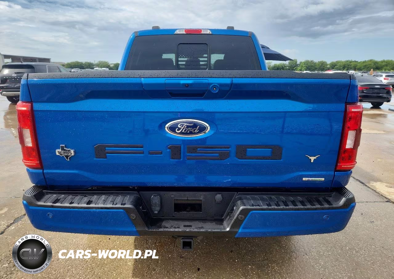 2021 Ford F150 Supercrew VIN:1FTEW1CP0MFD08906 - 6