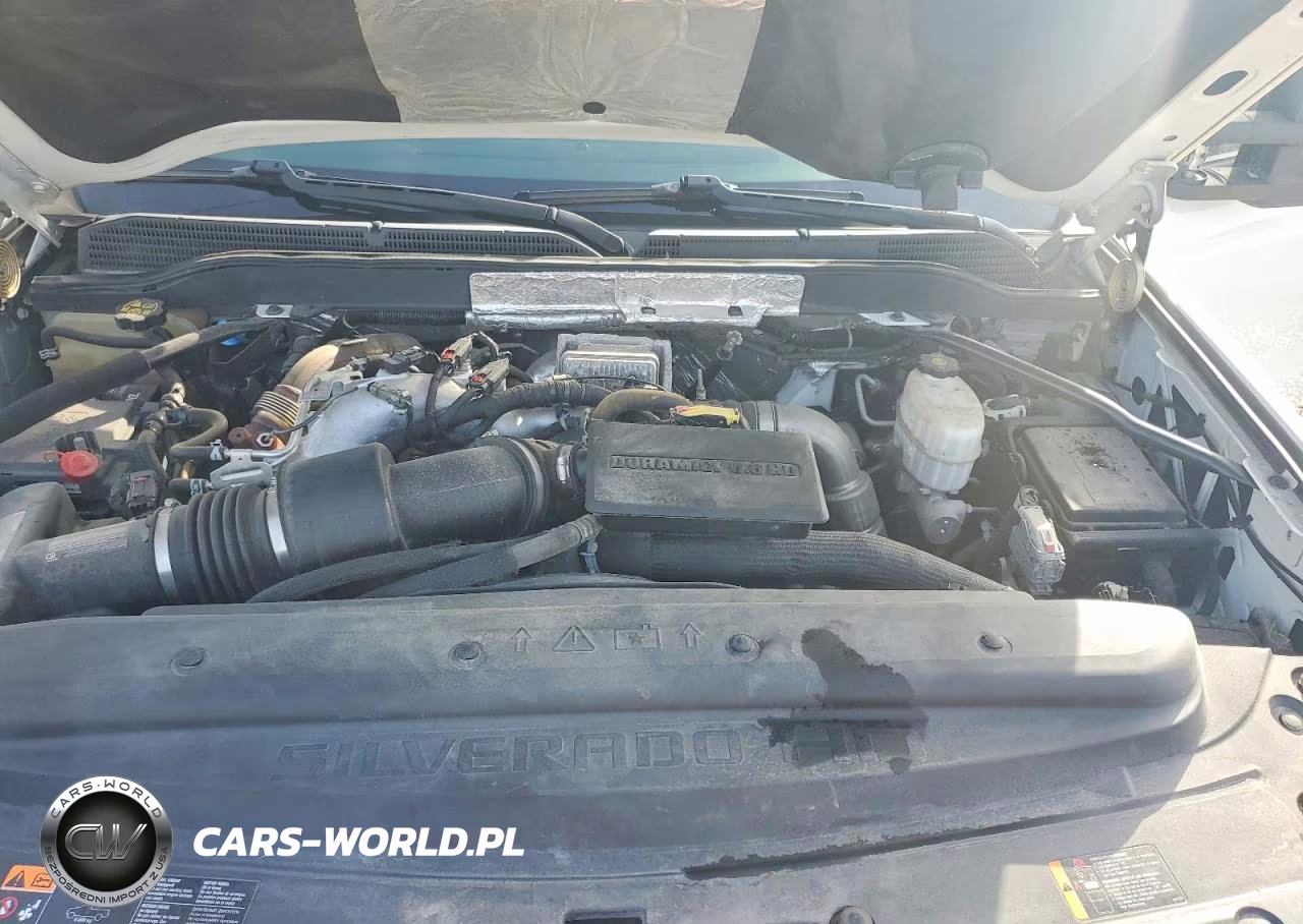 2019 Chevrolet Silverado C2500 Heavy Duty VIN:1GC1CREYXKF122024 - 11