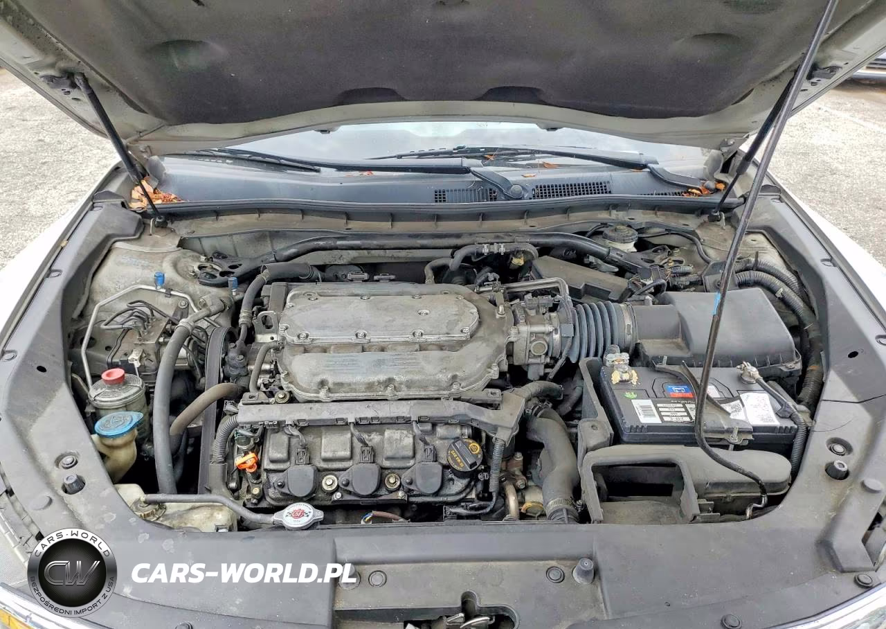 2010 Honda Accord Crosstour Exl VIN:5J6TF1H57AL013081 - 11