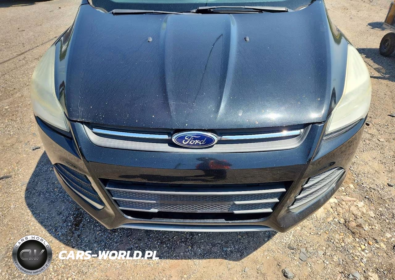 2013 Ford Escape Se VIN:1FMCU9GX3DUA53617 - 12