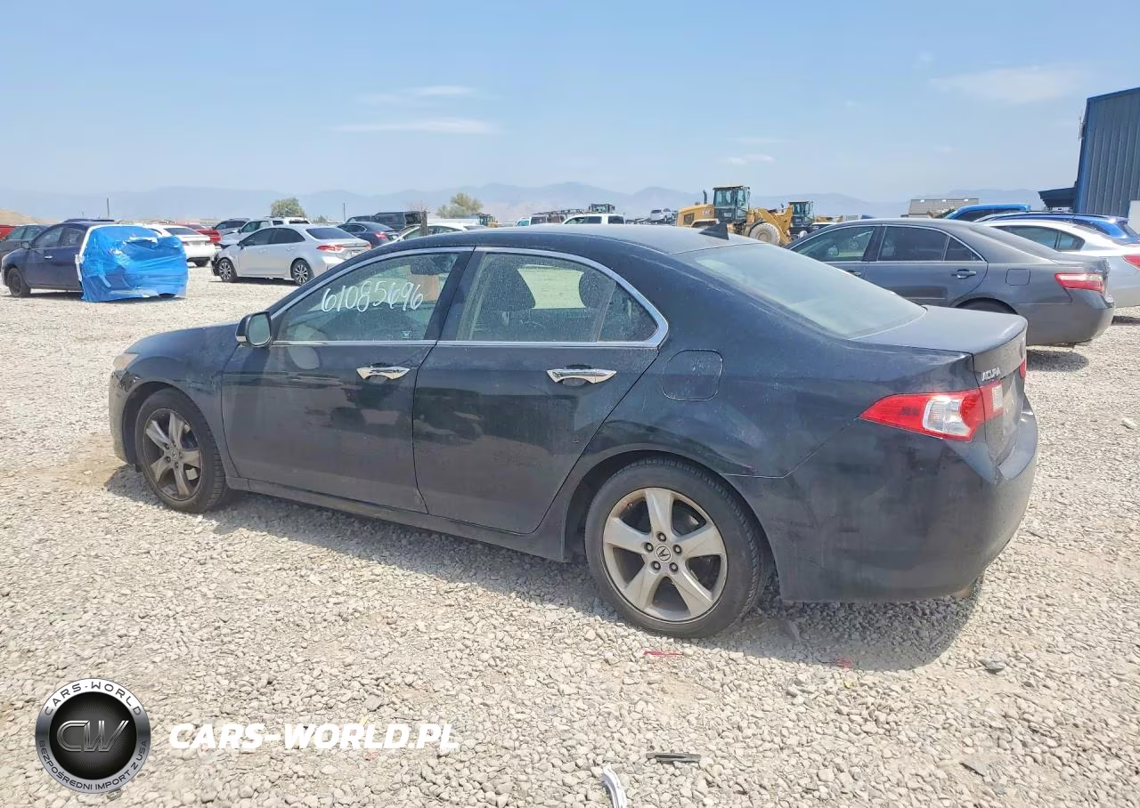 2010 Acura Tsx VIN:JH4CU2F67AC005896 - 2