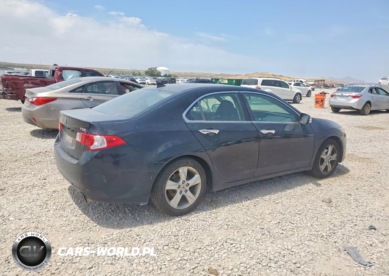 2010 Acura Tsx VIN:JH4CU2F67AC005896 - 3