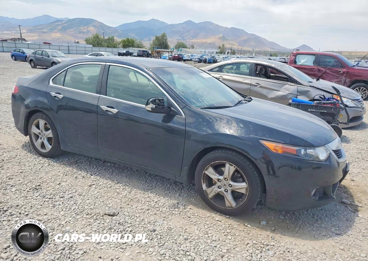 2010 Acura Tsx VIN:JH4CU2F67AC005896 - 4