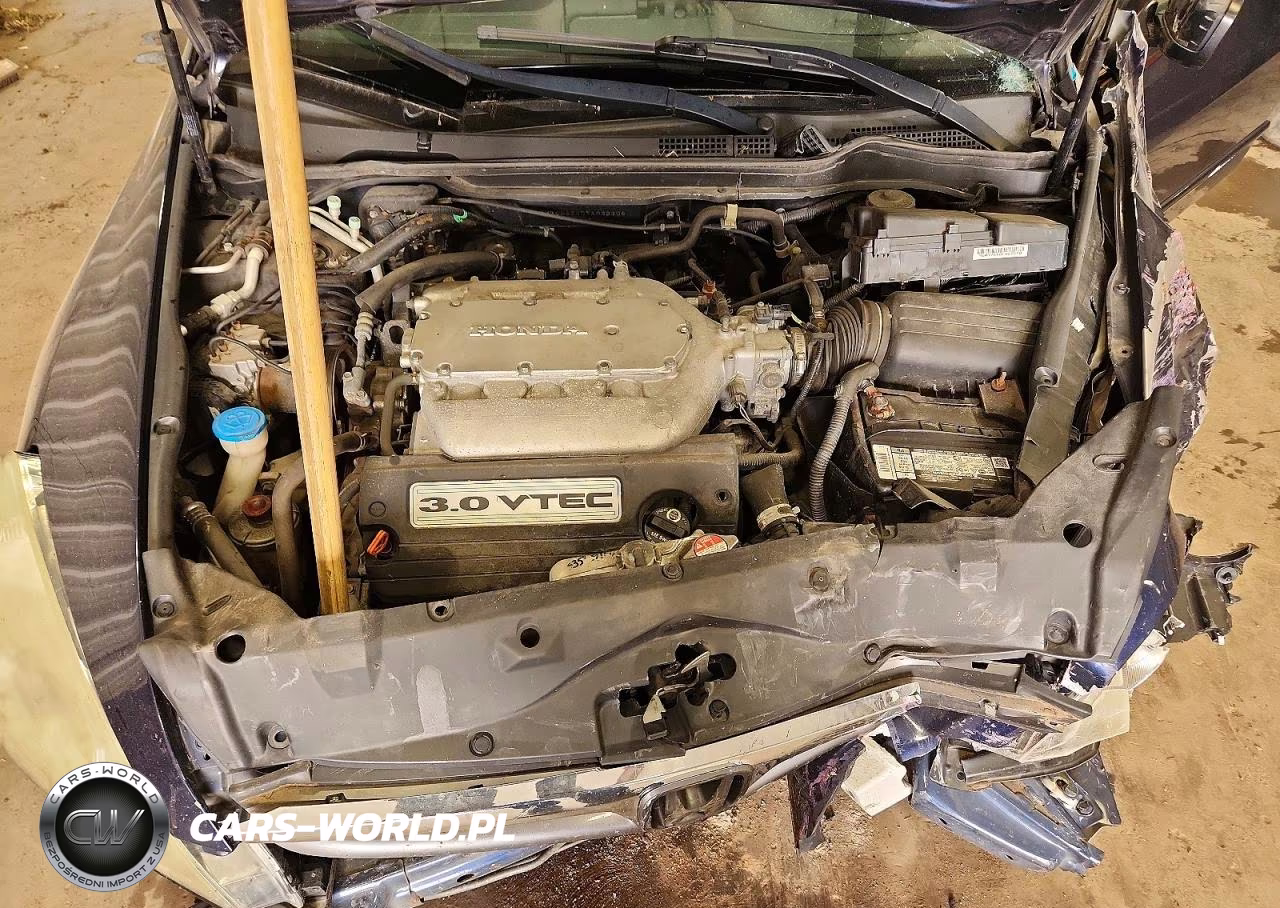 2007 Honda Accord Se VIN:1HGCM66407A032306 - 11