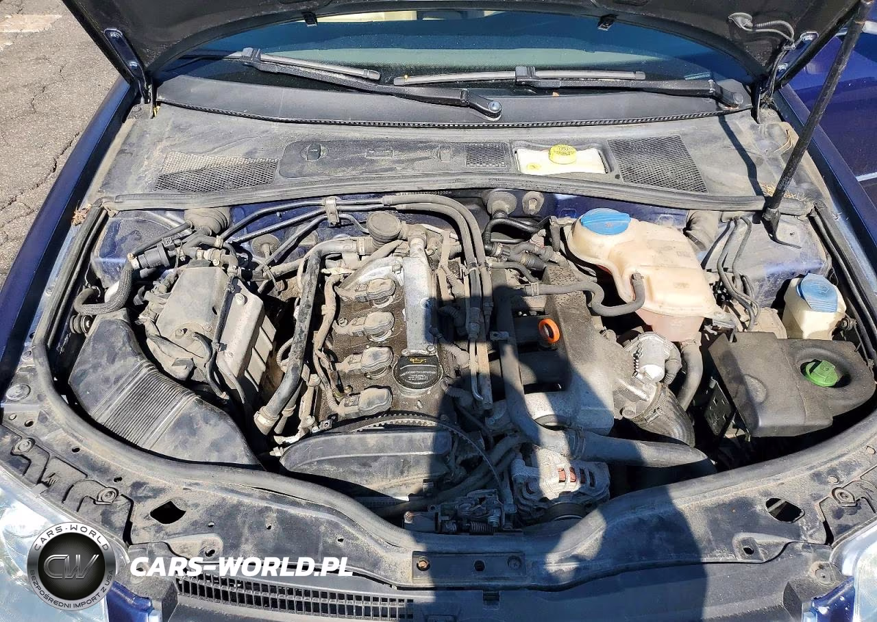 2005 Volkswagen Passat VIN:WVWDD63BX5E001236 - 11