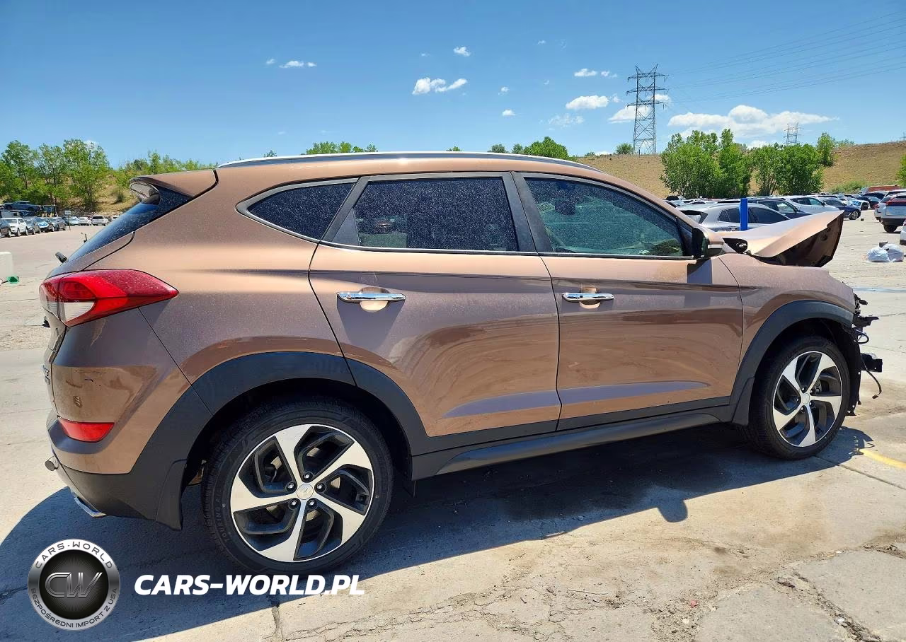 2016 Hyundai Tucson Limited VIN:KM8J3CA23GU163267 - 3