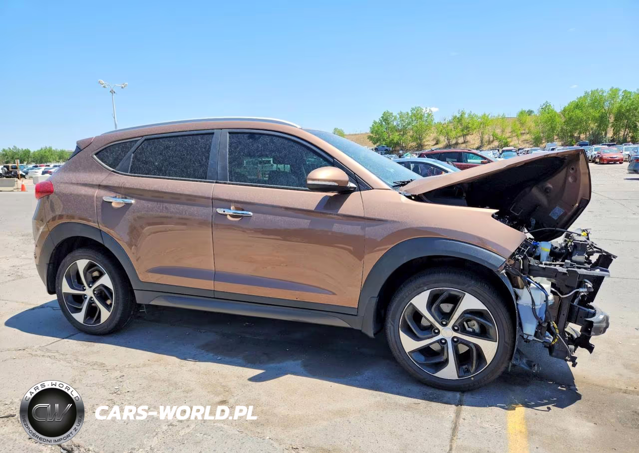 2016 Hyundai Tucson Limited VIN:KM8J3CA23GU163267 - 4