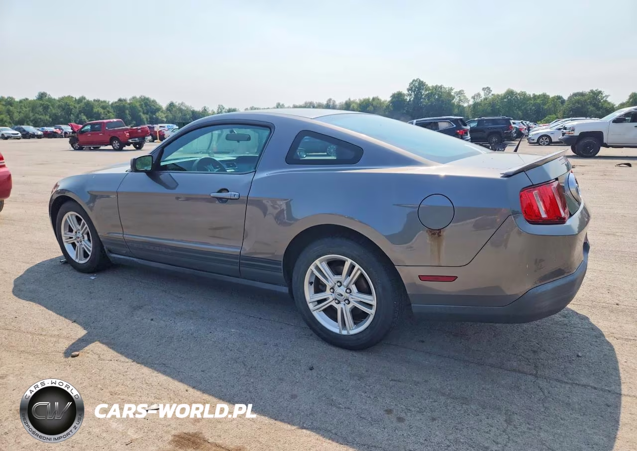 2010 Ford Mustang VIN:1ZVBP8AN9A5138943 - 2