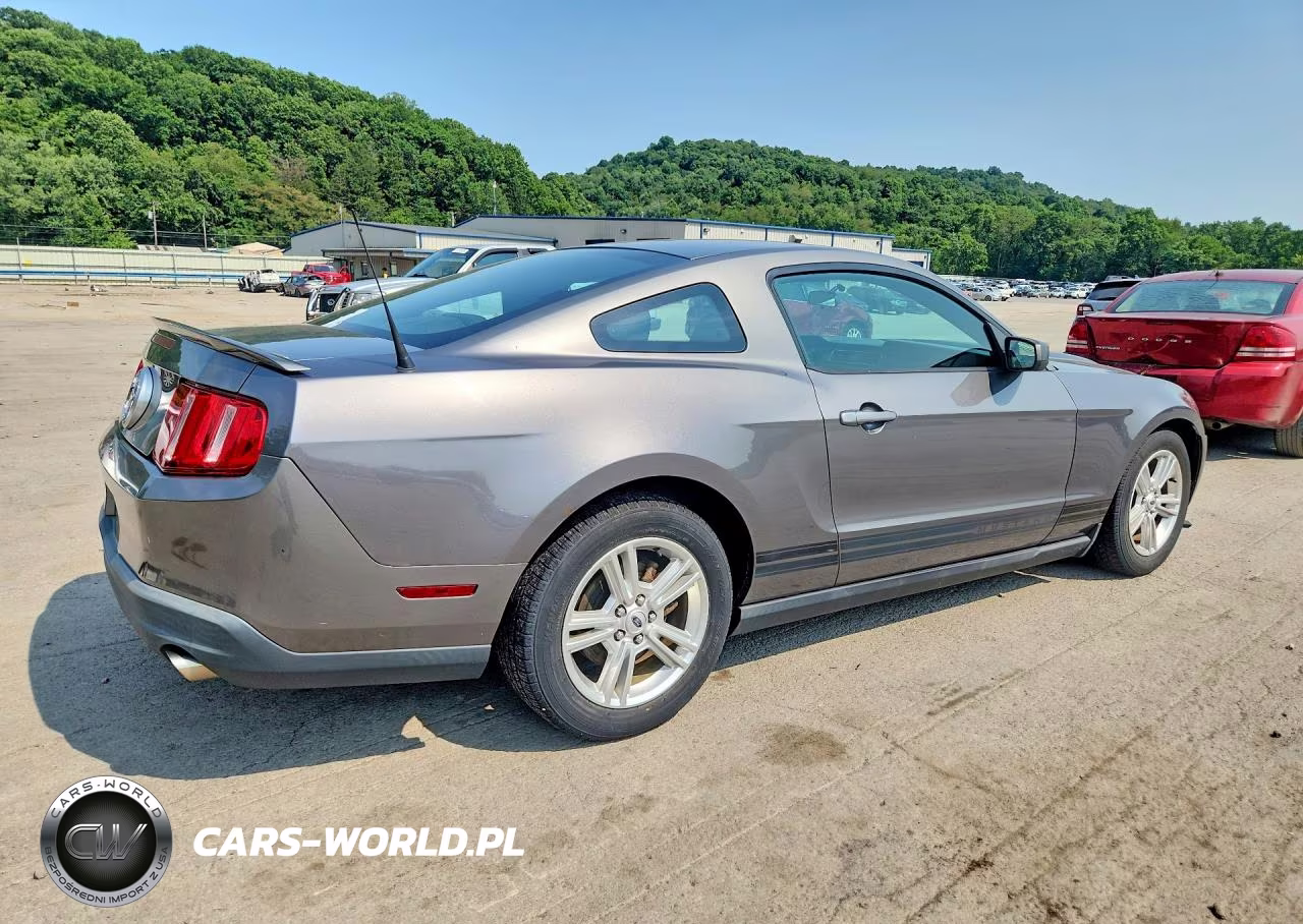 2010 Ford Mustang VIN:1ZVBP8AN9A5138943 - 3