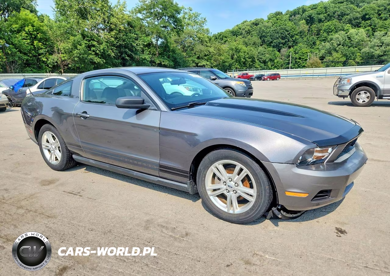 2010 Ford Mustang VIN:1ZVBP8AN9A5138943 - 4