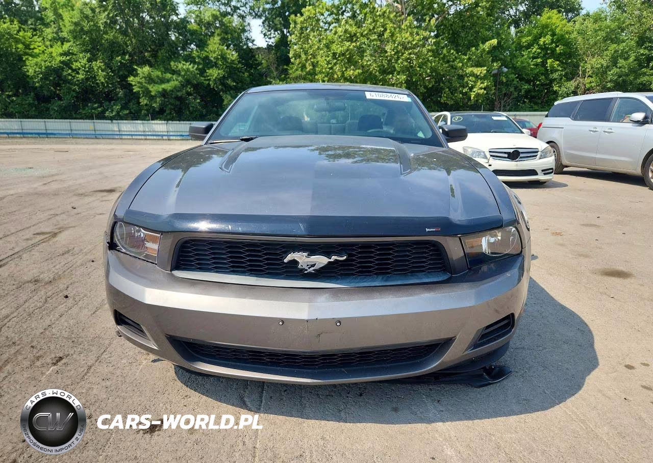 2010 Ford Mustang VIN:1ZVBP8AN9A5138943 - 5