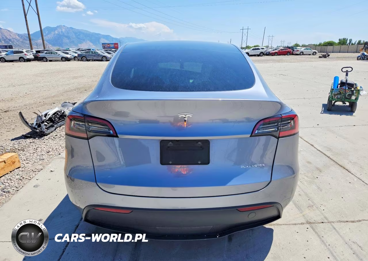 2024 Tesla Model Y VIN:7SAYGDEE8RA301799 - 6