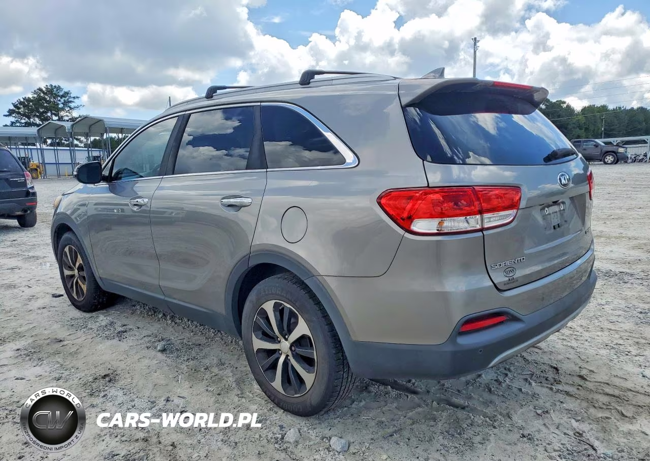 2017 Kia Sorento Ex VIN:5XYPH4A18HG253143 - 2