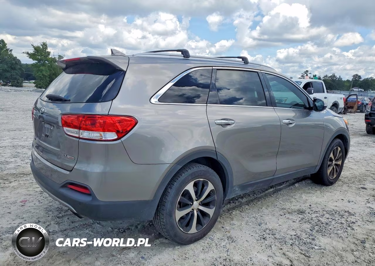 2017 Kia Sorento Ex VIN:5XYPH4A18HG253143 - 3