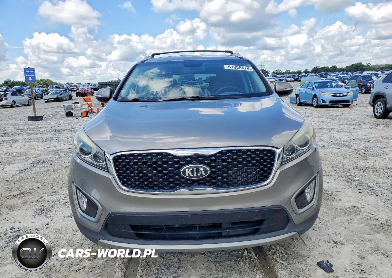 2017 Kia Sorento Ex VIN:5XYPH4A18HG253143 - 5
