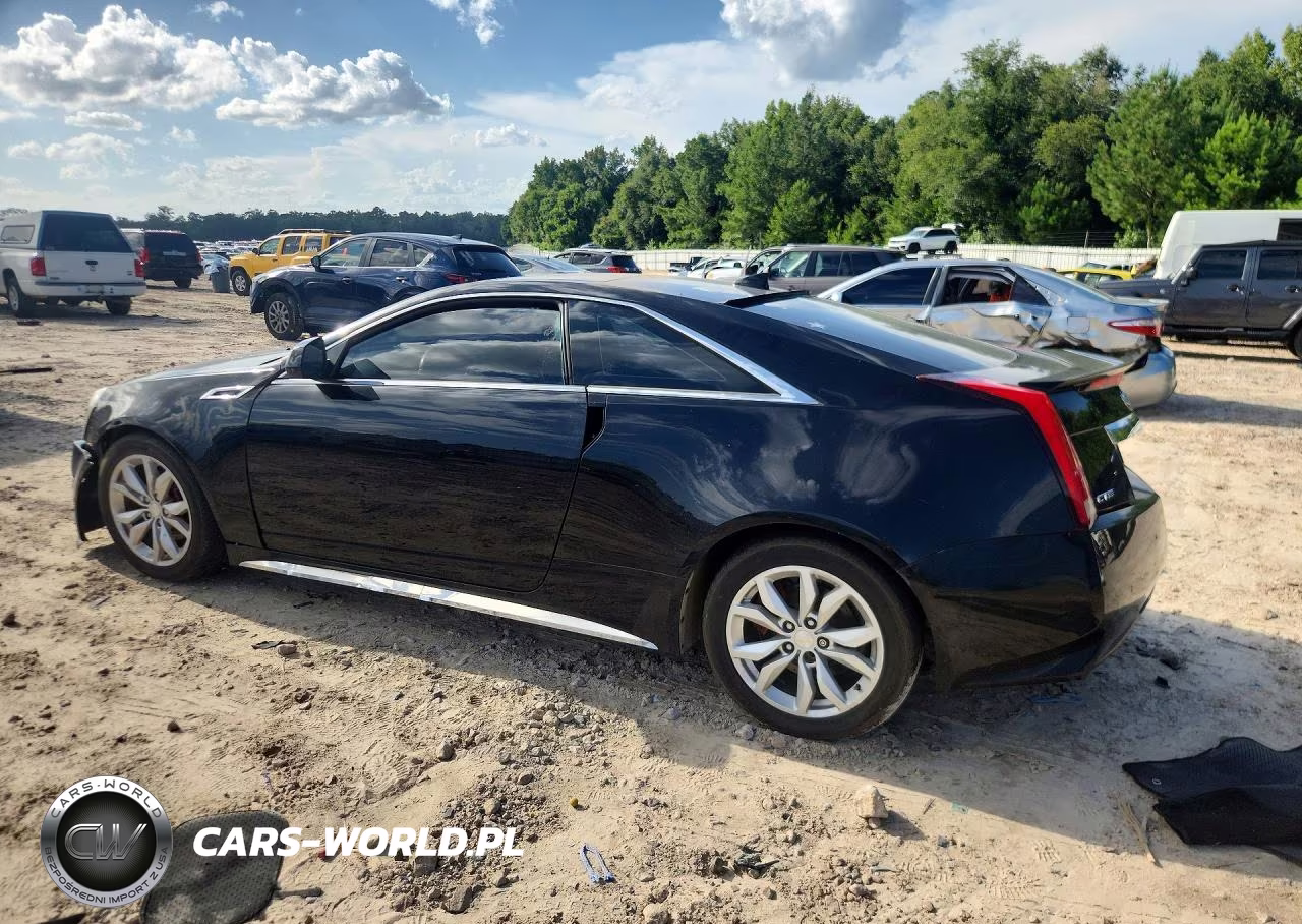 2012 Cadillac Cts Premium Collection VIN:1G6DP1E33C0136135 - 2
