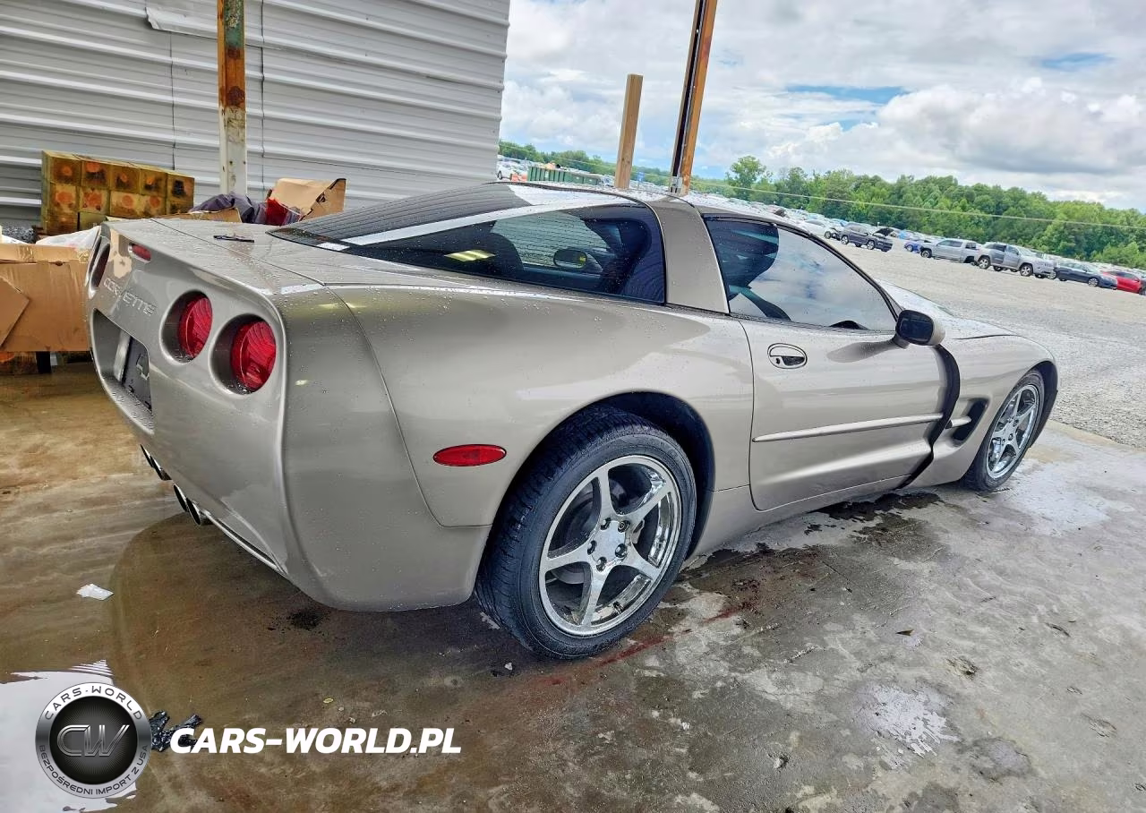1998 Chevrolet Corvette VIN:1G1YY22G6W5124263 - 3