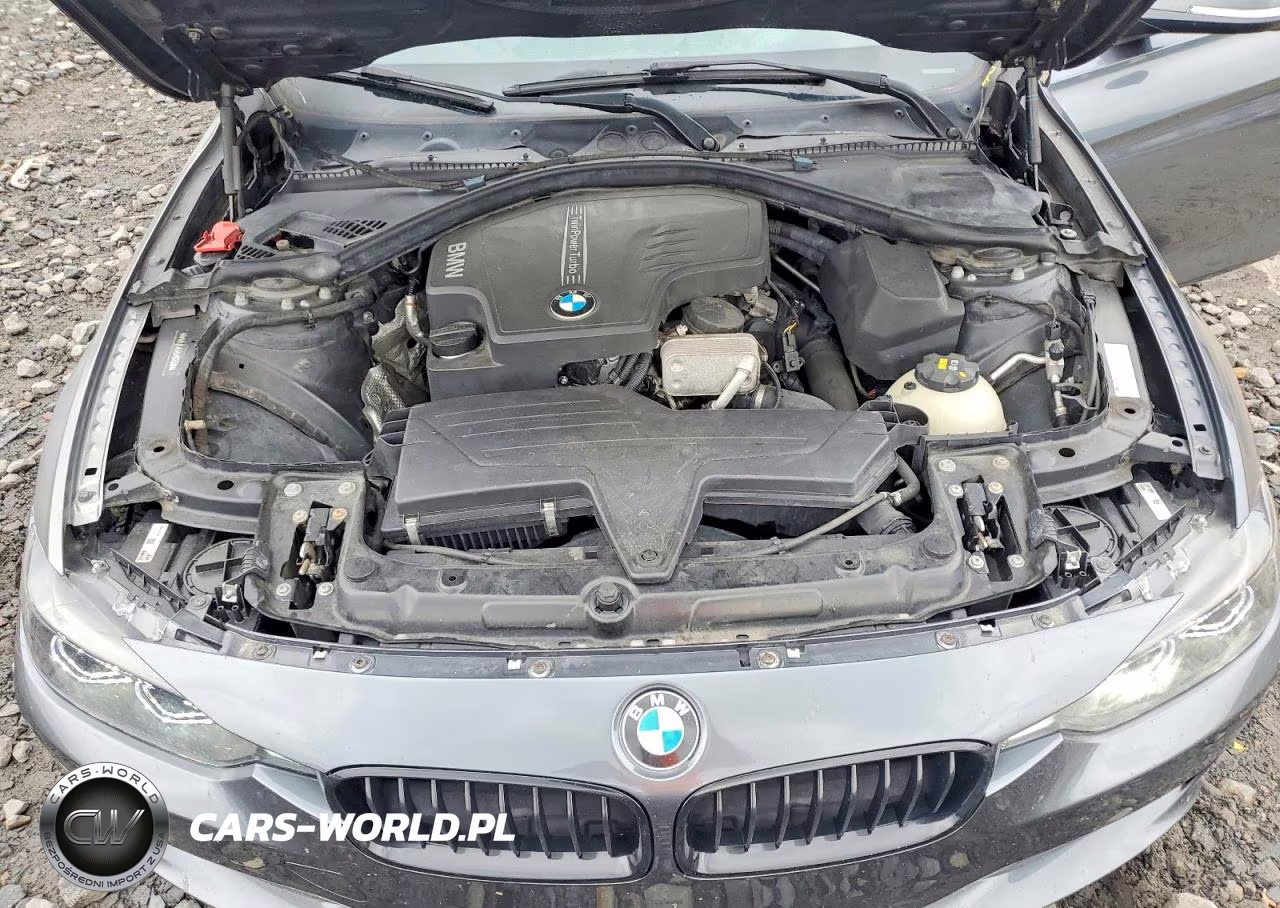 2015 BMW 320 I xDrive VIN:WBA3C3G57FNS74716 - 11