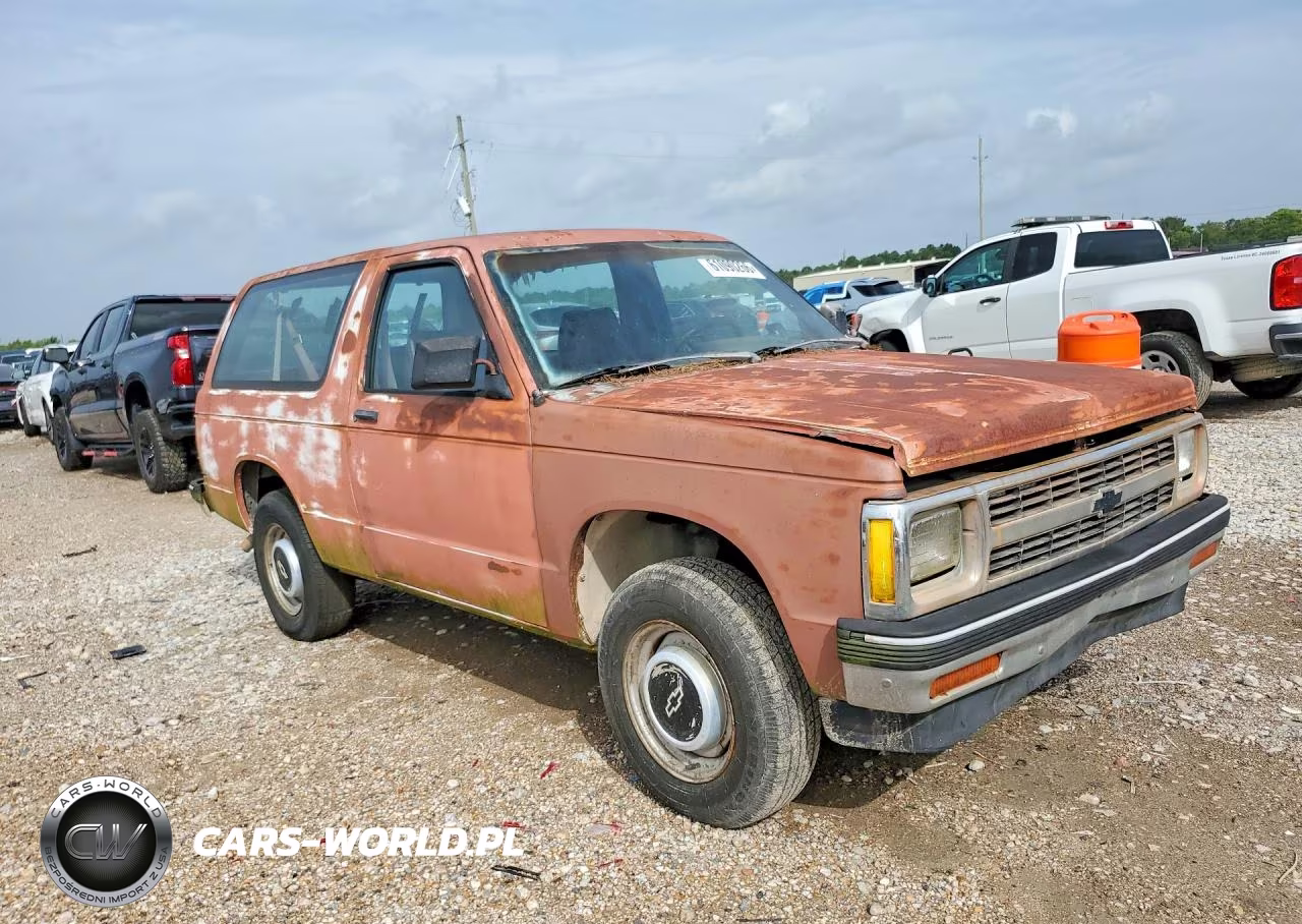 1991 Chevrolet Blazer S10 VIN:1GNCS18ZXM8265457 - 4
