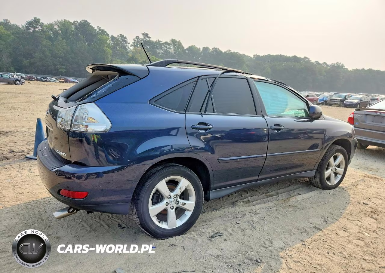 2005 Lexus Rx 330 VIN:2T2HA31U95C044915 - 3
