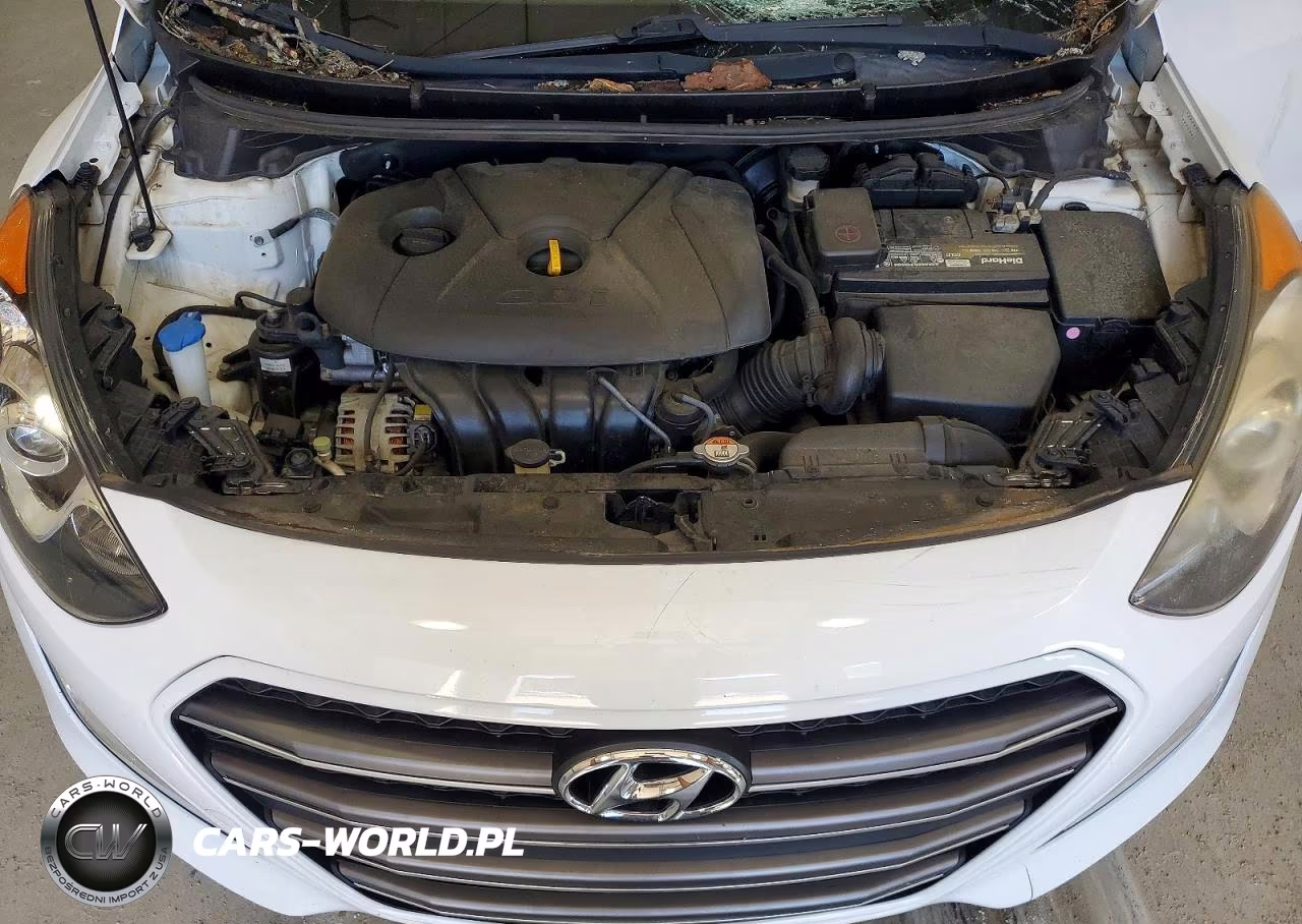 2016 Hyundai Elantra Gt Base VIN:KMHD35LH1GU316156 - 11