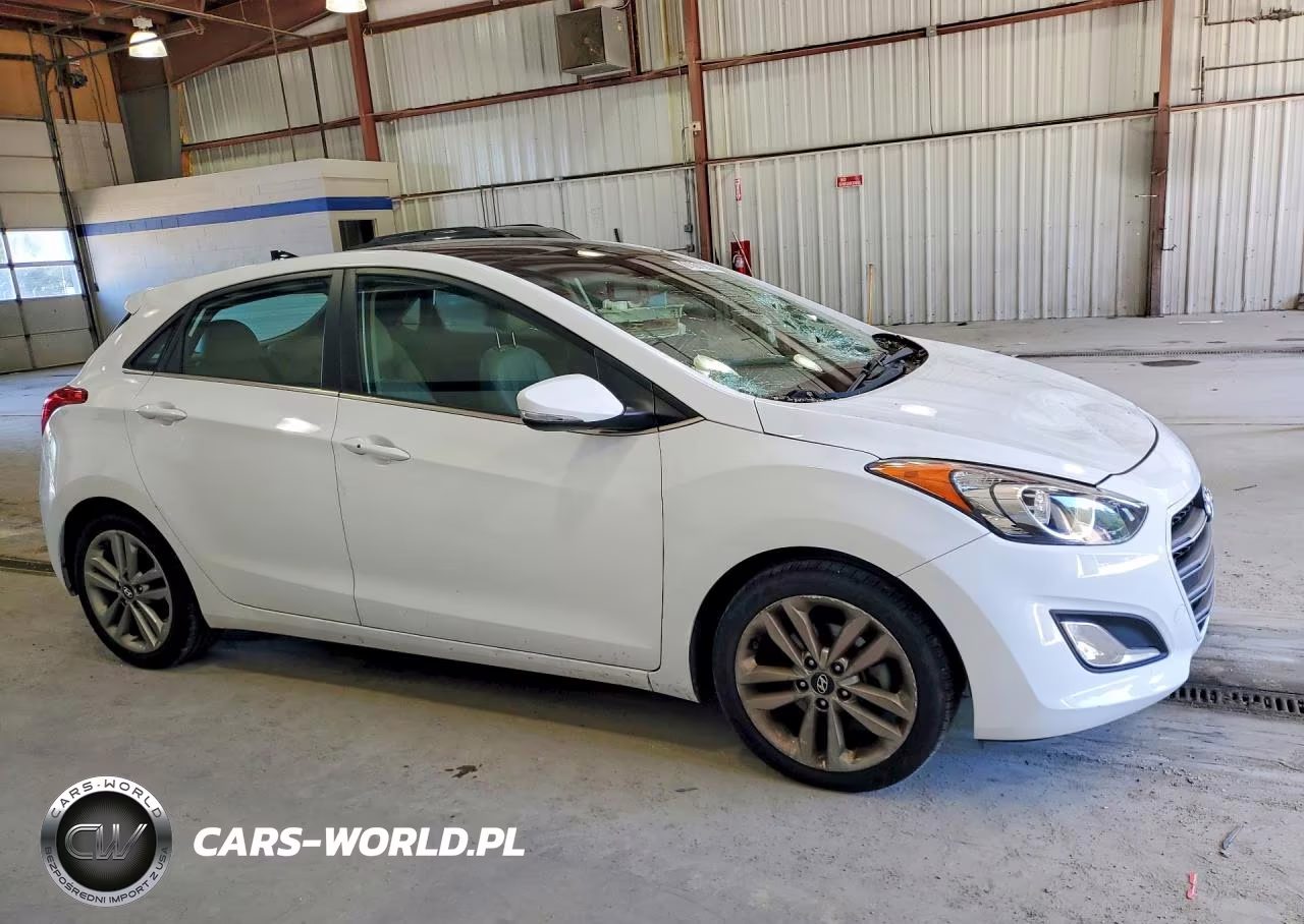 2016 Hyundai Elantra Gt Base VIN:KMHD35LH1GU316156 - 4