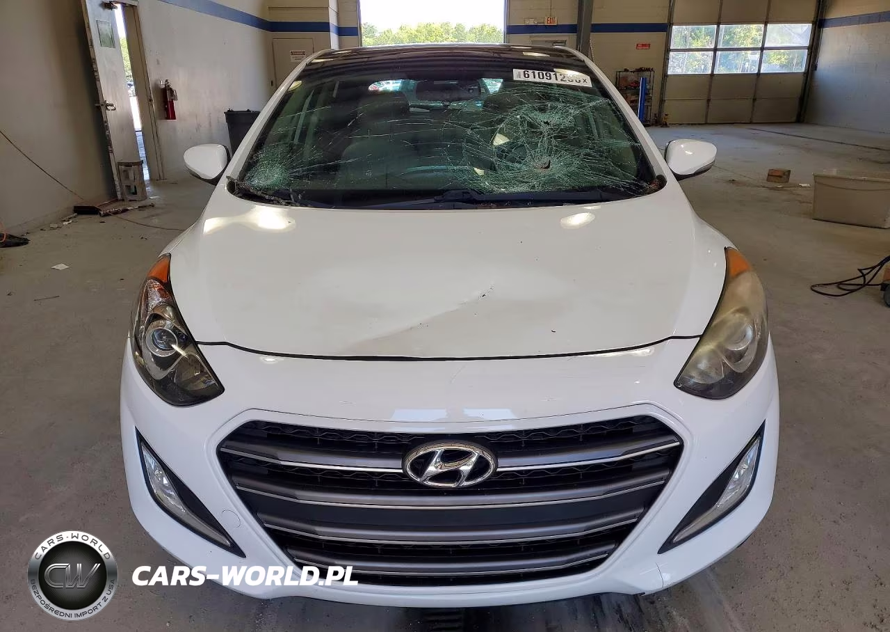 2016 Hyundai Elantra Gt Base VIN:KMHD35LH1GU316156 - 5