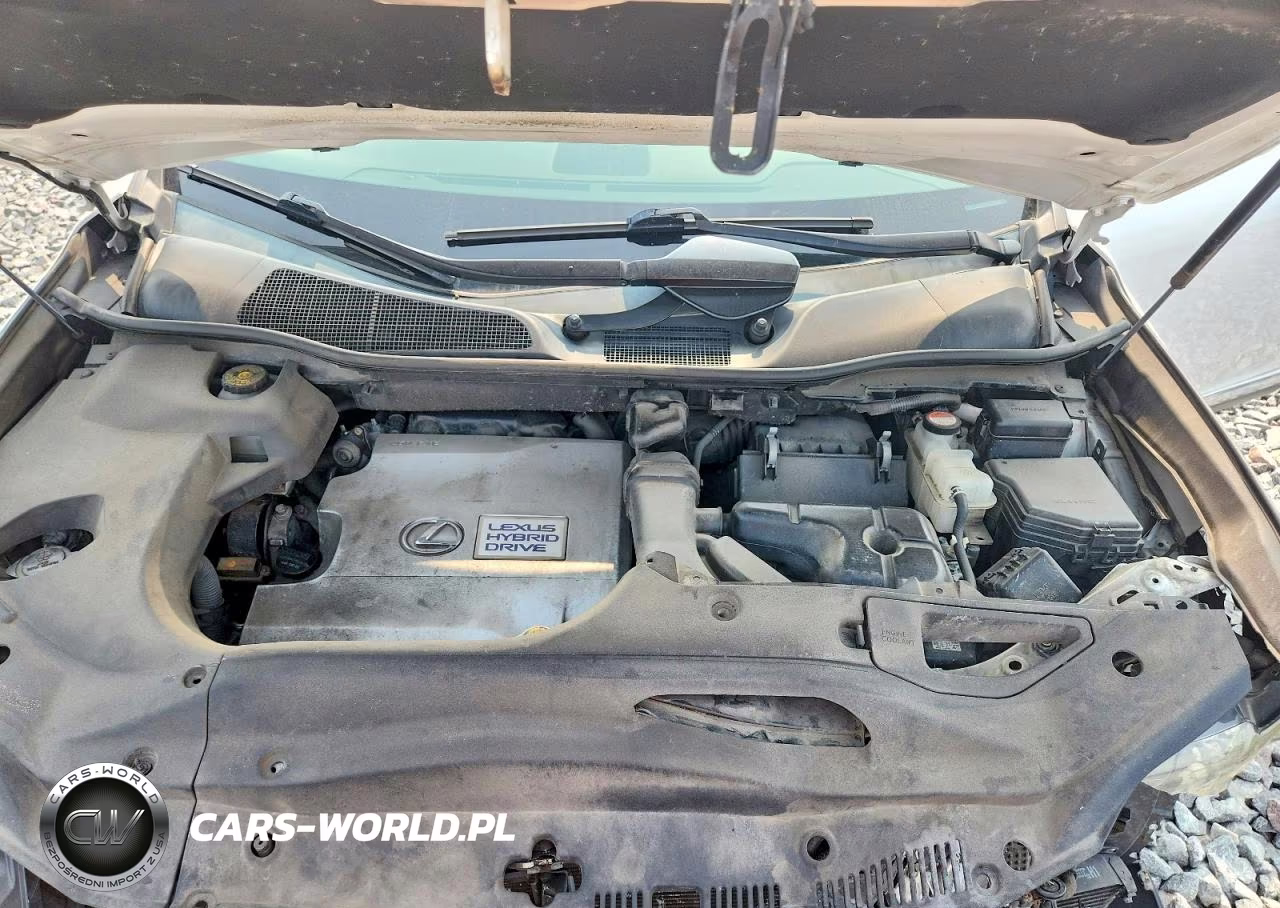 2015 Lexus Rx 450H VIN:2T2BC1BA2FC007215 - 12