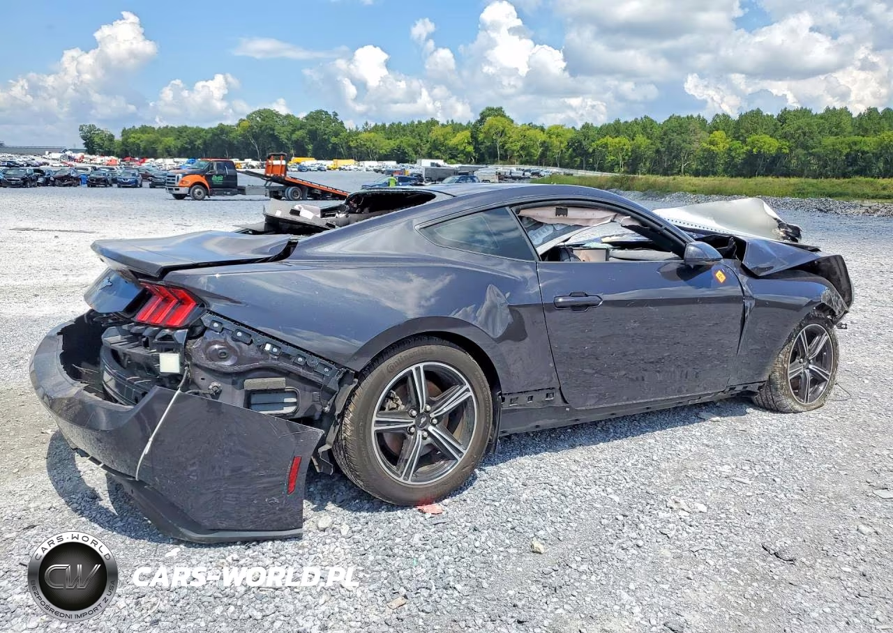 2024 Ford Mustang VIN:1FA6P8TH6R5143465 - 3
