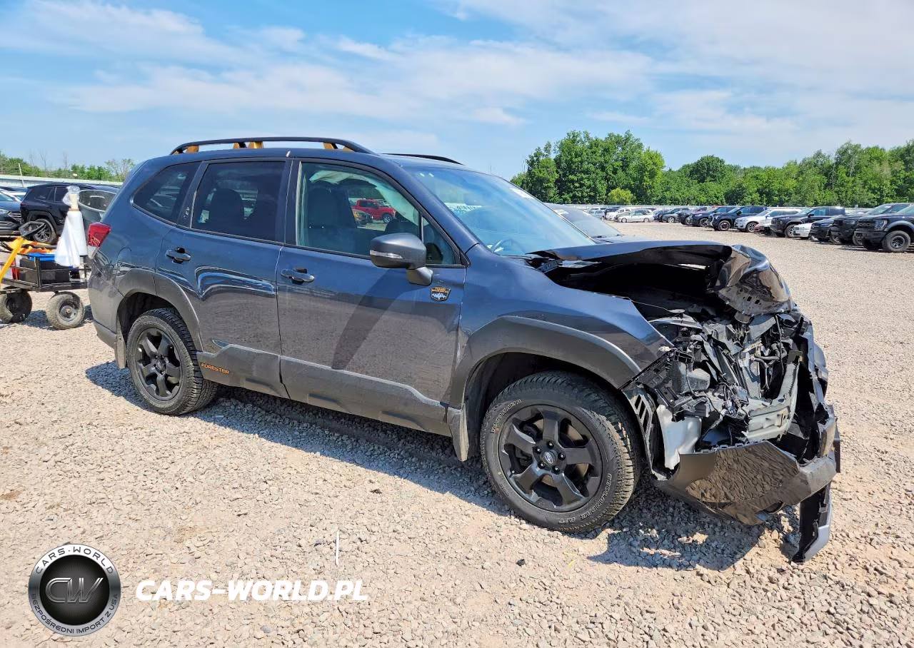 2025 Subaru Forester Wilderness VIN:JF2SKAHC6SH401162 - 4