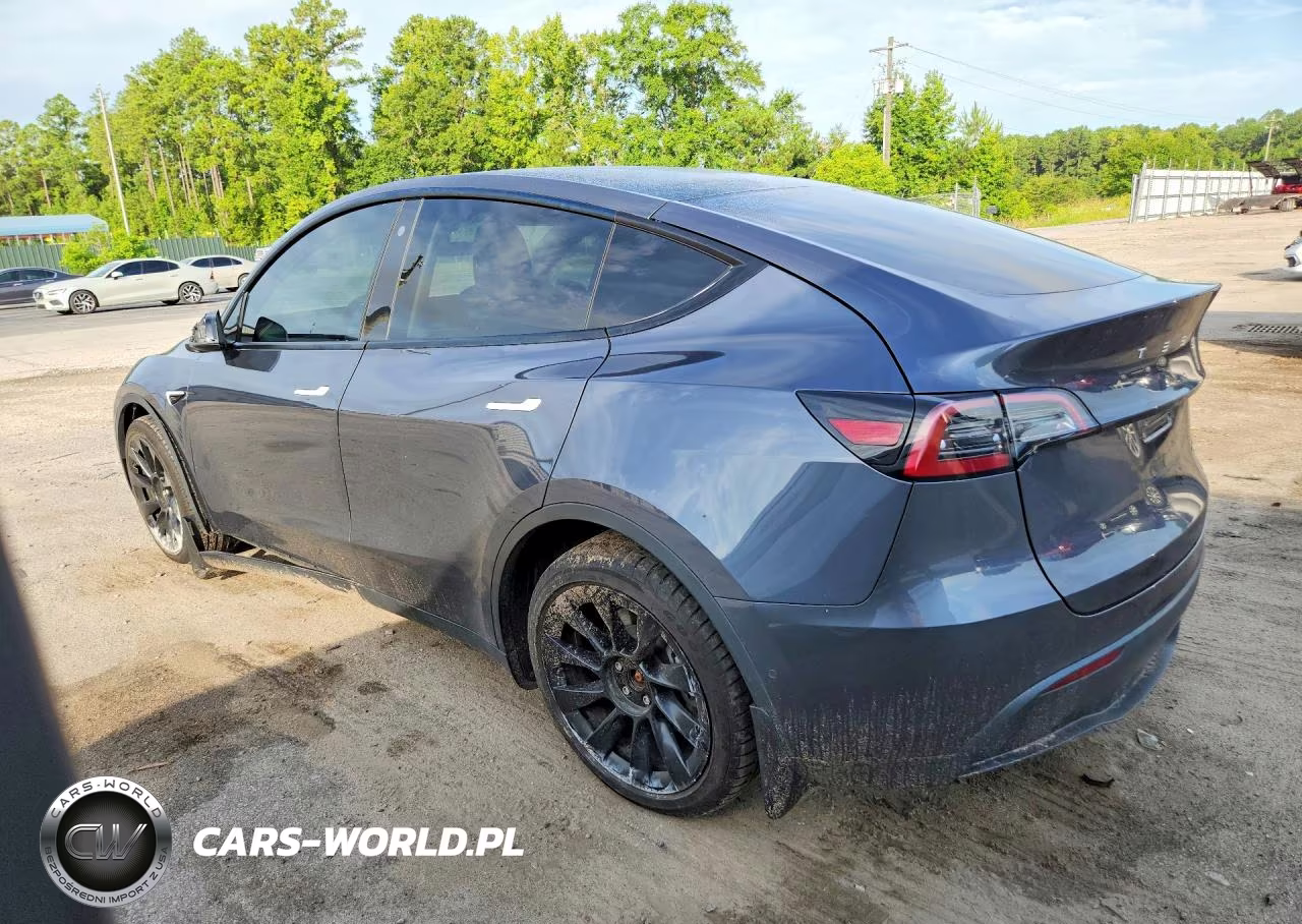 2022 Tesla Model Y VIN:7SAYGDEE7NF481774 - 2
