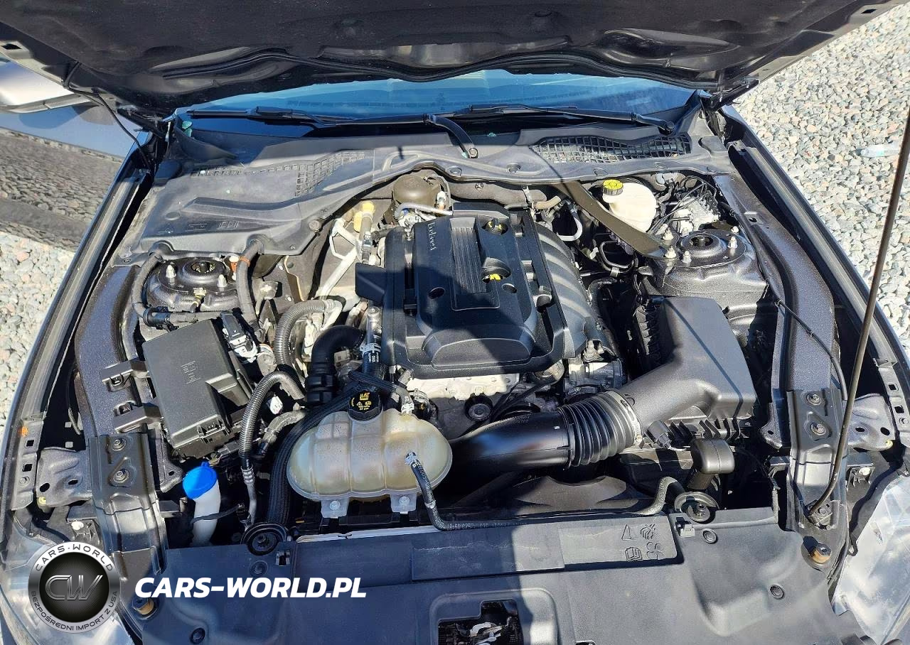 2020 Ford Mustang VIN:1FATP8UH8L5166643 - 11