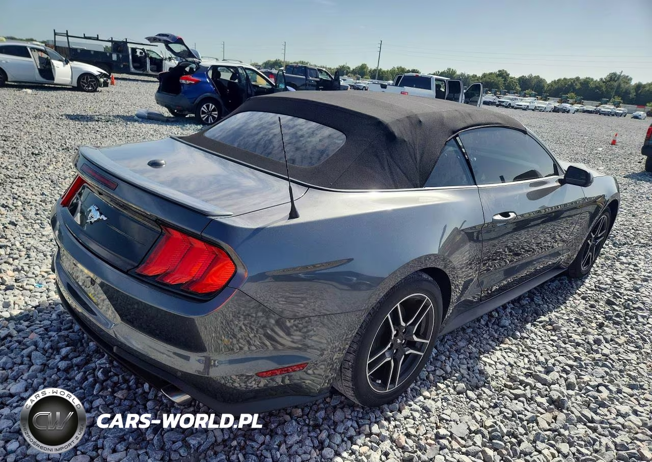 2020 Ford Mustang VIN:1FATP8UH8L5166643 - 3
