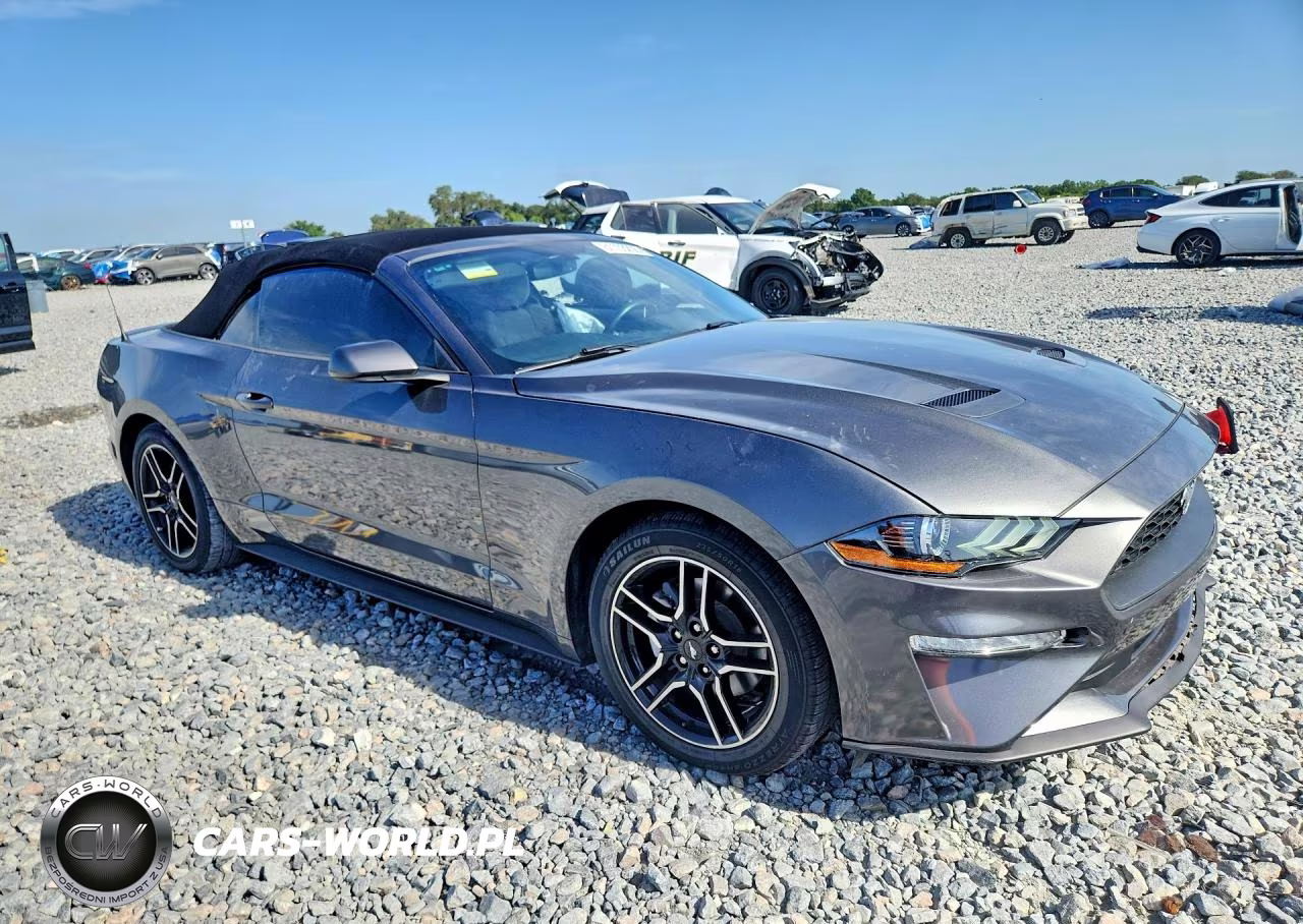 2020 Ford Mustang VIN:1FATP8UH8L5166643 - 4