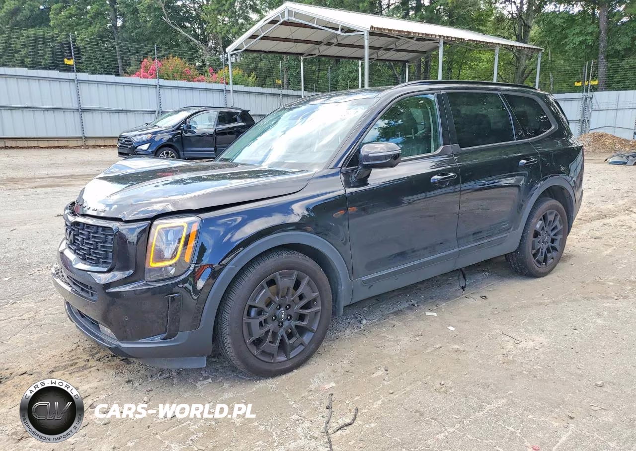 2022 Kia Telluride Sx VIN:5XYP5DHC5NG209466 - 1
