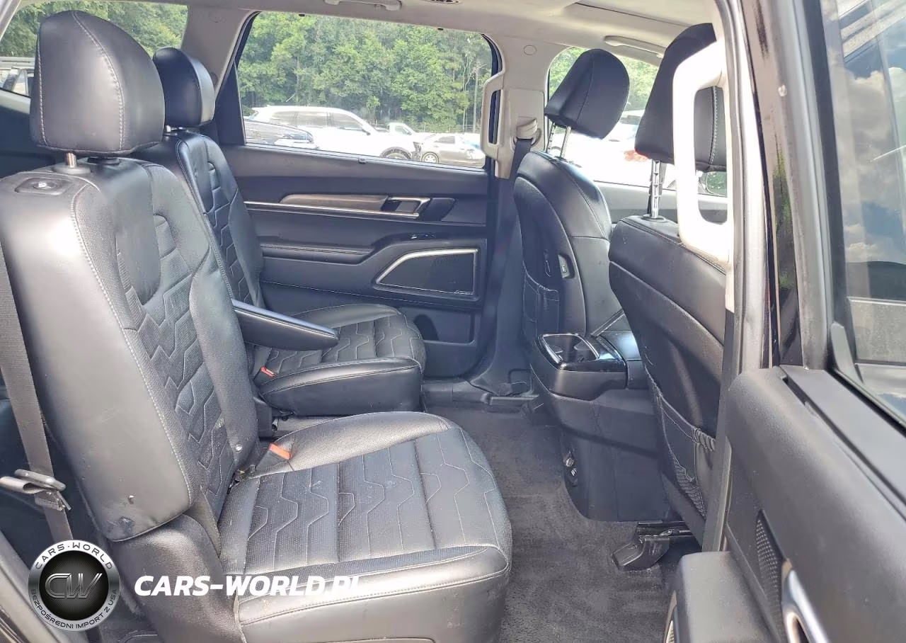 2022 Kia Telluride Sx VIN:5XYP5DHC5NG209466 - 11