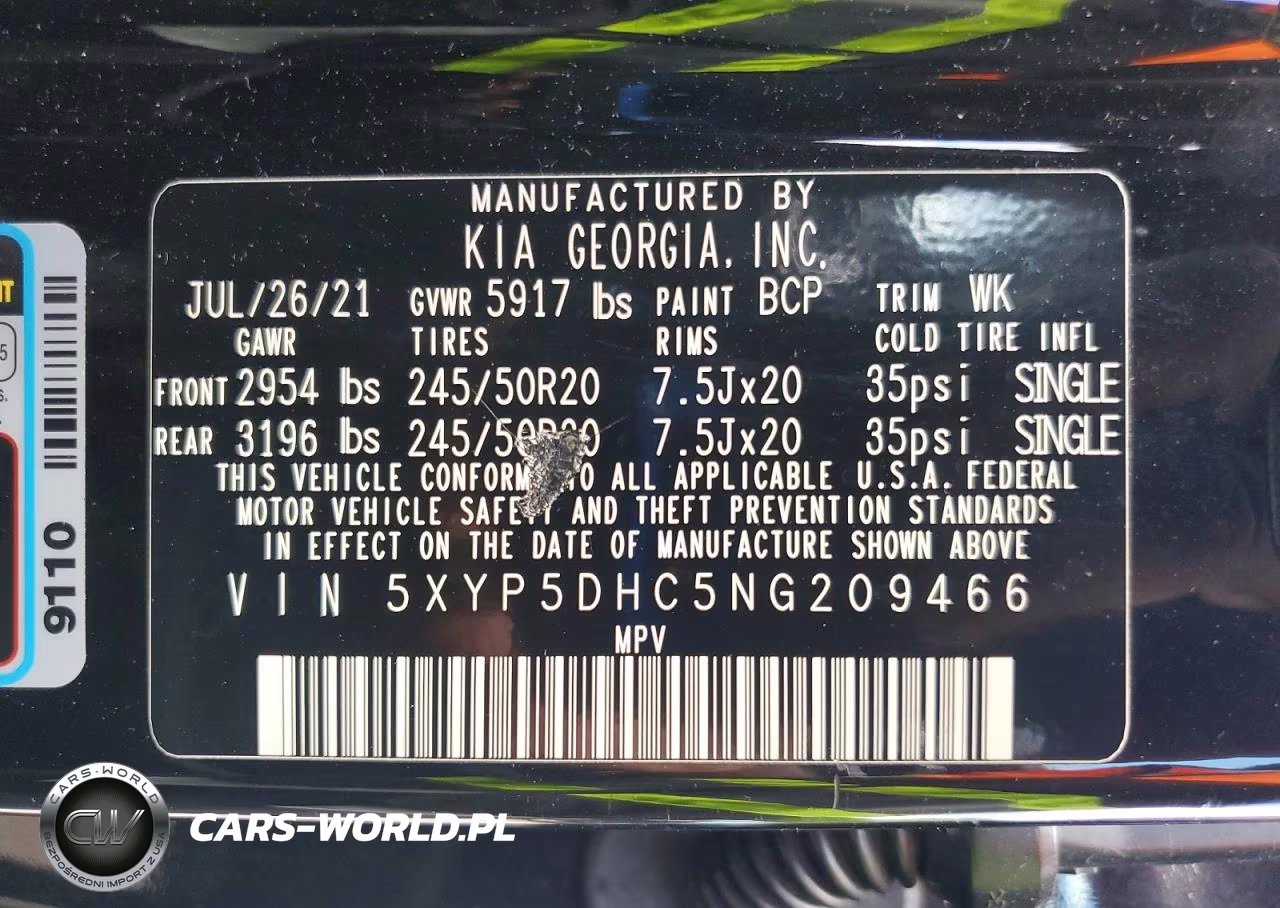 2022 Kia Telluride Sx VIN:5XYP5DHC5NG209466 - 13