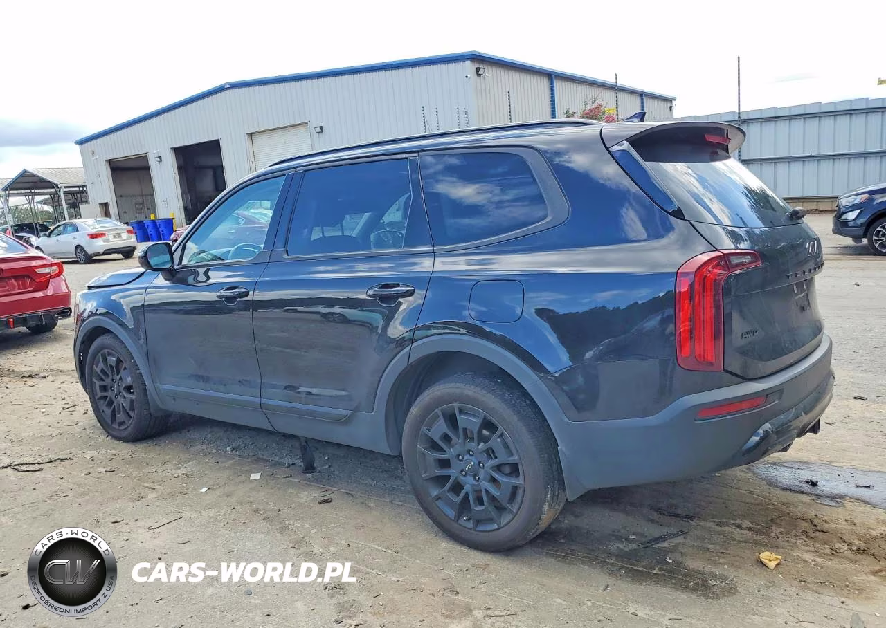 2022 Kia Telluride Sx VIN:5XYP5DHC5NG209466 - 2