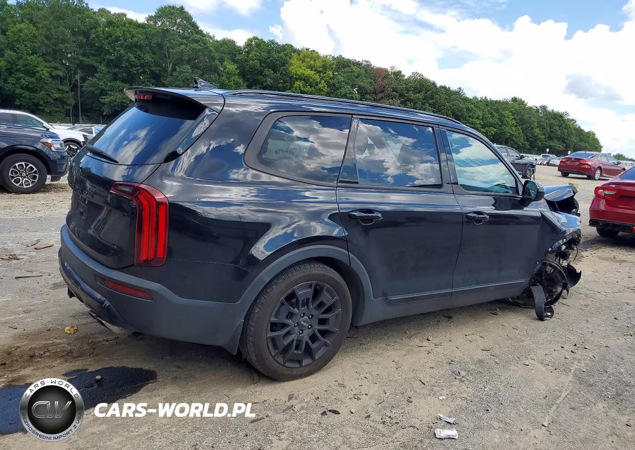 2022 Kia Telluride Sx VIN:5XYP5DHC5NG209466 - 3