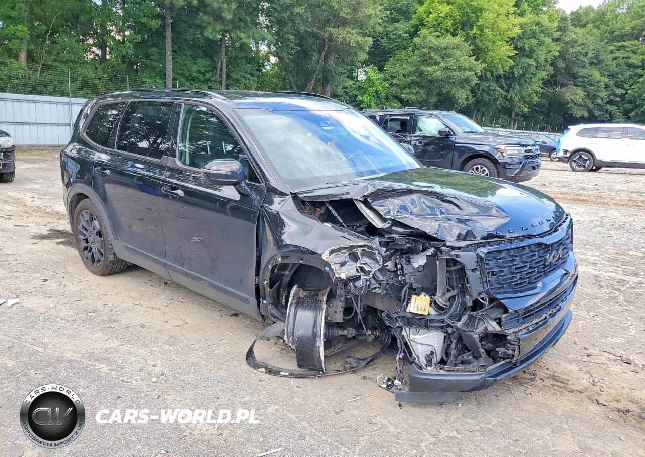 2022 Kia Telluride Sx VIN:5XYP5DHC5NG209466 - 4