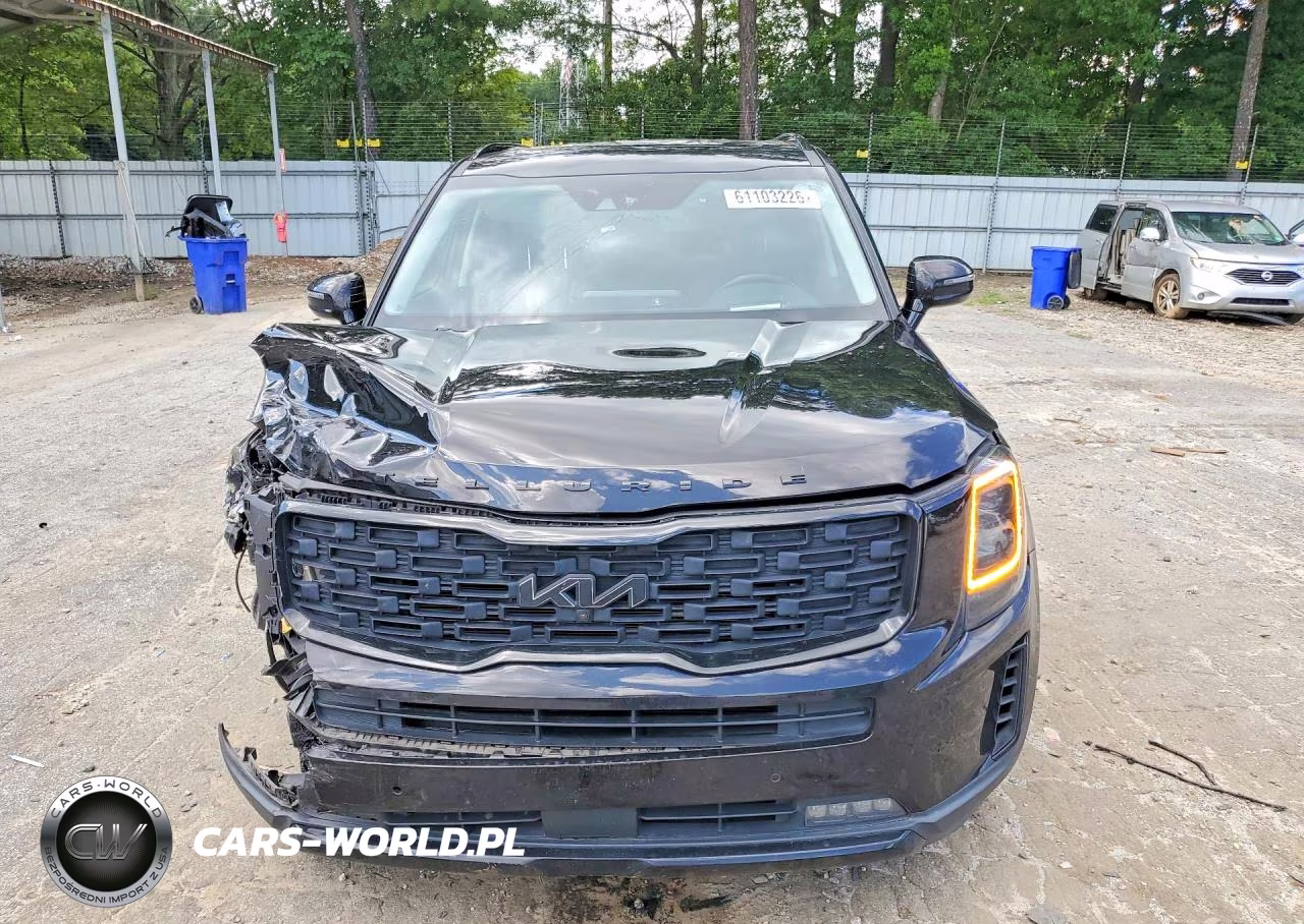 2022 Kia Telluride Sx VIN:5XYP5DHC5NG209466 - 5