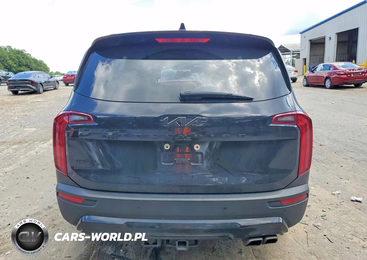 2022 Kia Telluride Sx VIN:5XYP5DHC5NG209466 - 6
