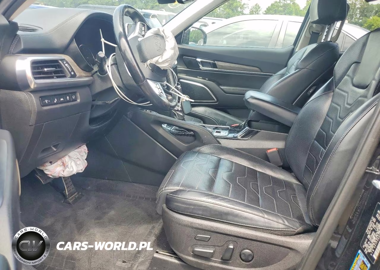 2022 Kia Telluride Sx VIN:5XYP5DHC5NG209466 - 7