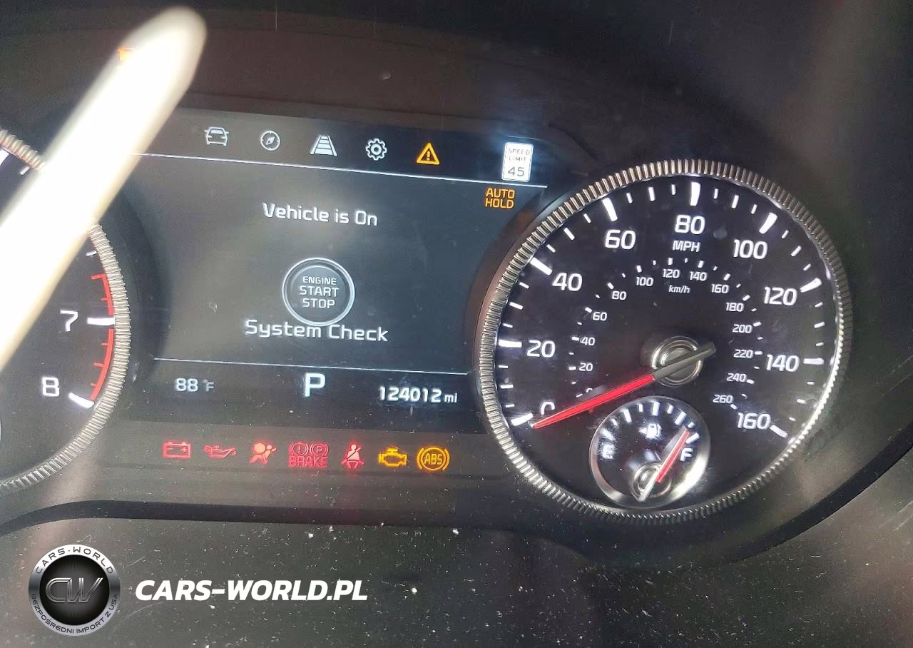 2022 Kia Telluride Sx VIN:5XYP5DHC5NG209466 - 9
