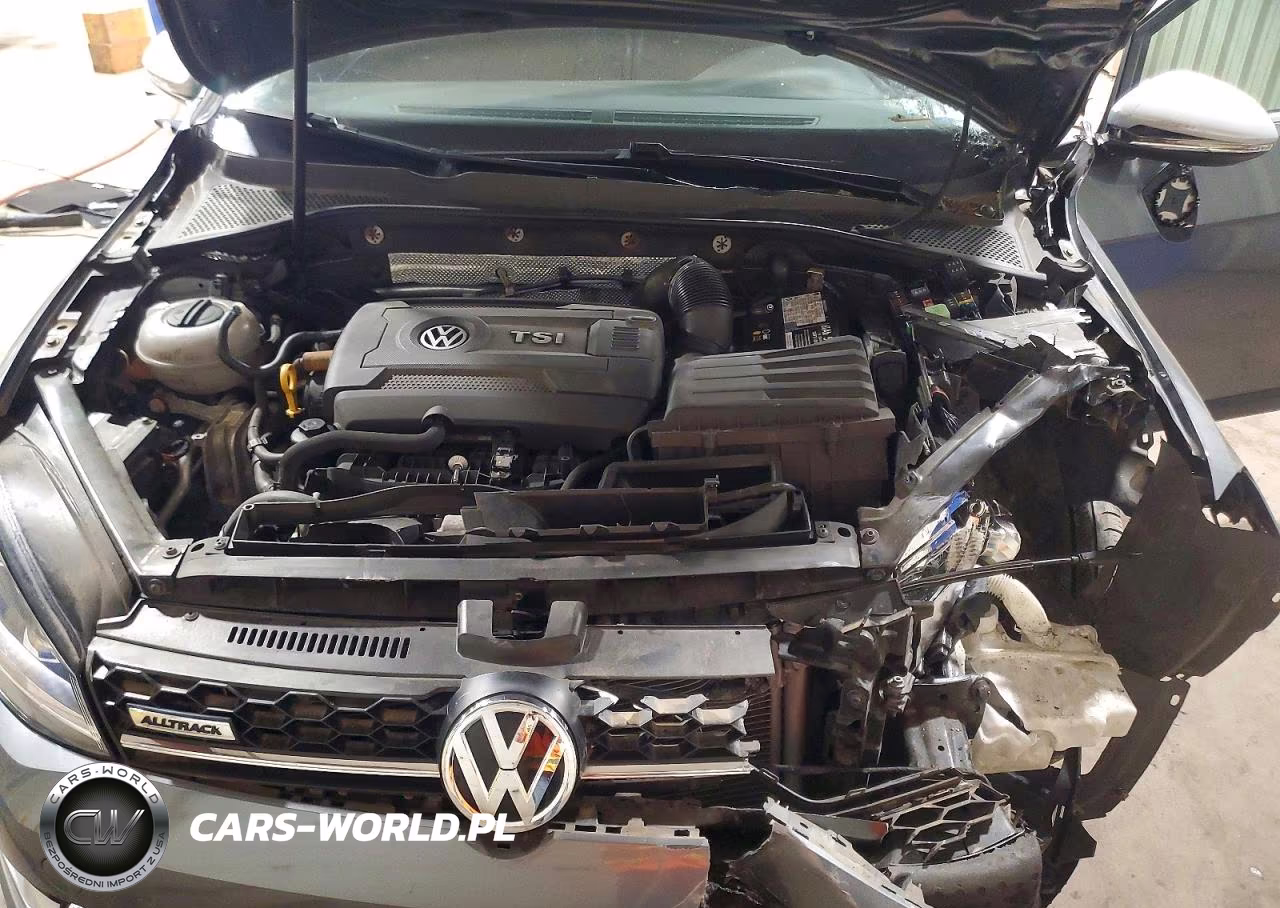 2017 Volkswagen Golf Alltrack S-Se-Sel VIN:3VWH17AU0HM509327 - 12
