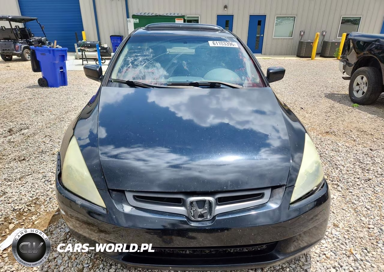 2004 Honda Accord Ex VIN:1HGCM66564A081448 - 5