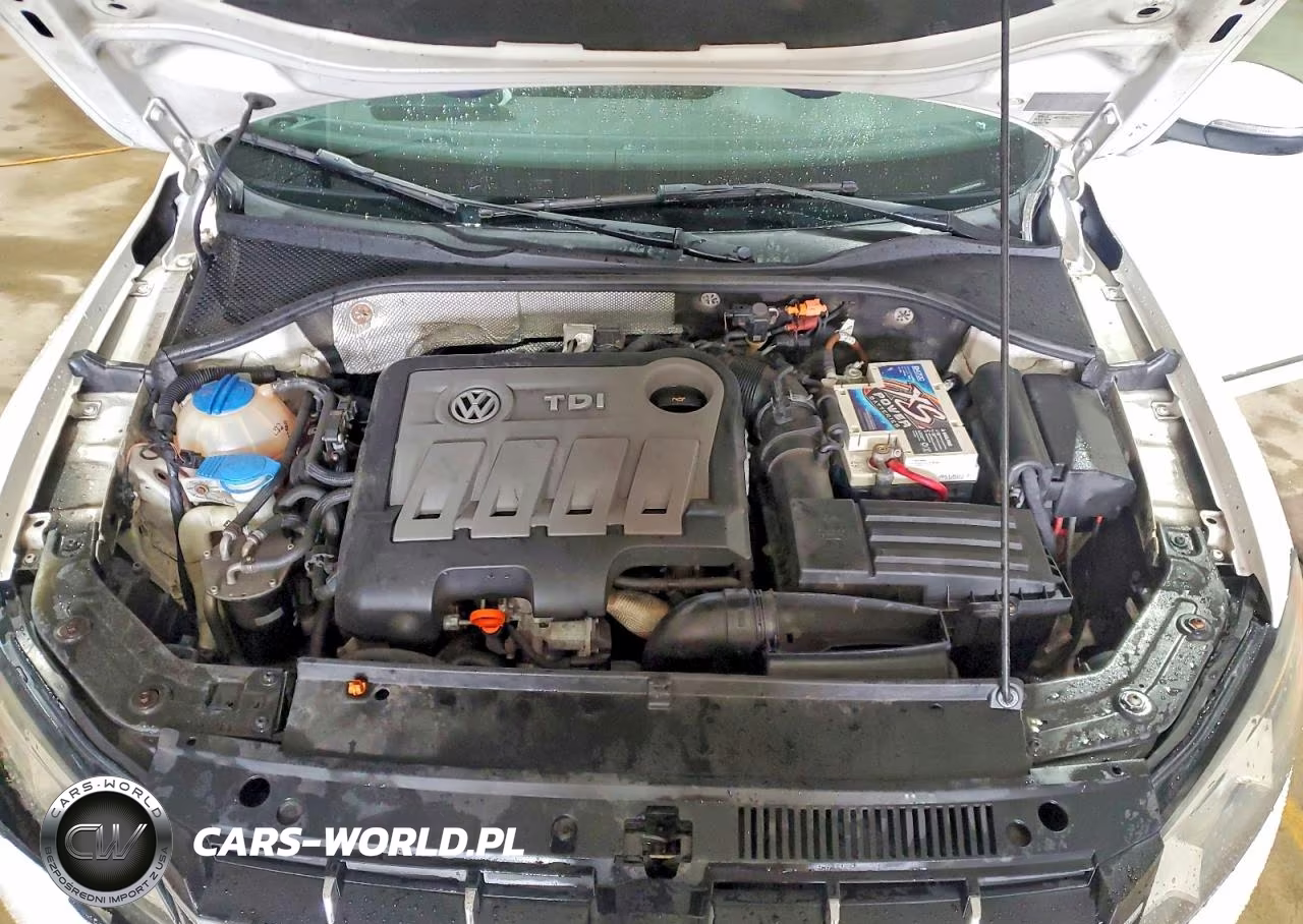 2013 Volkswagen Passat Sel VIN:1VWCN7A33DC045564 - 11