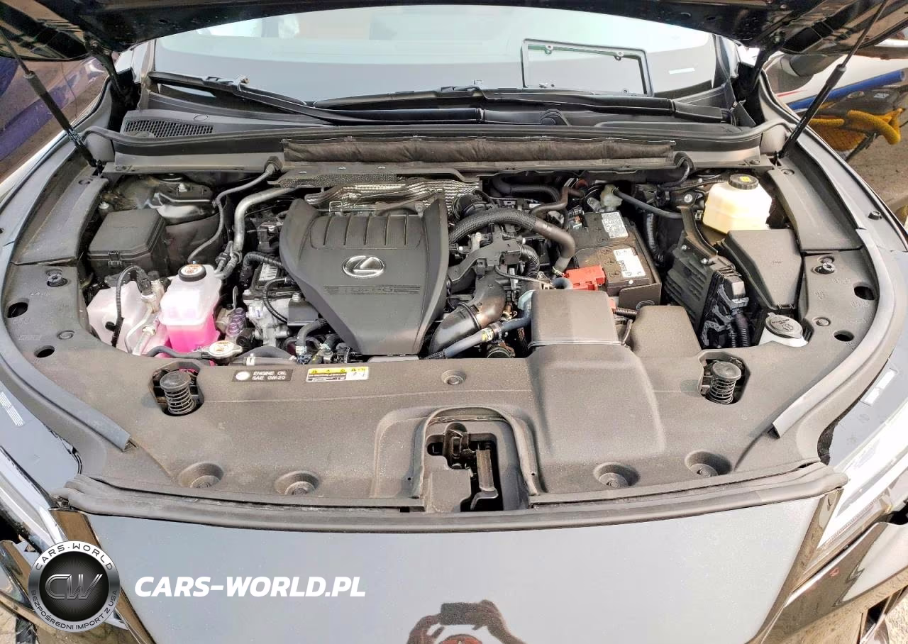 2025 Lexus Rx 350 Premium VIN:2T2BAMCA7SC118732 - 12