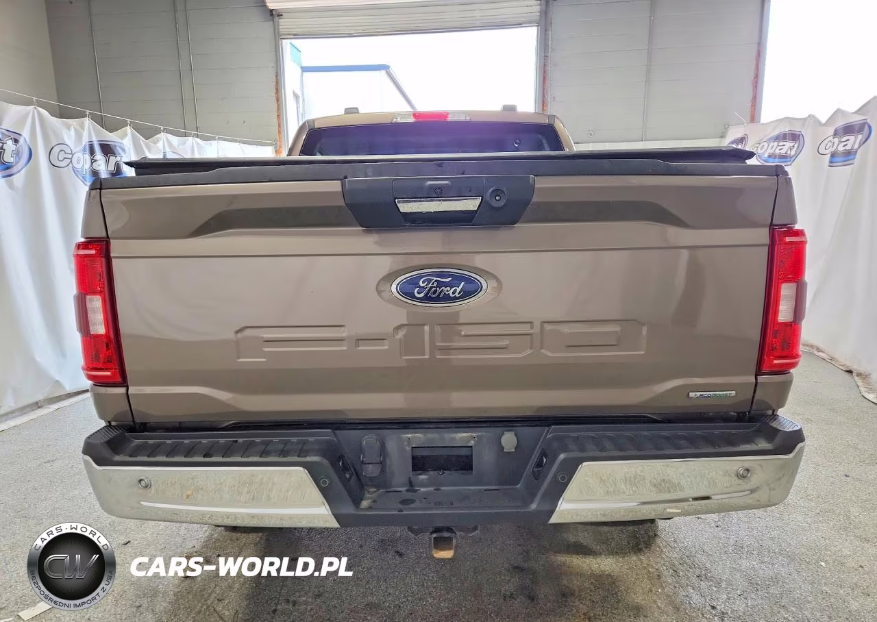 2023 Ford F150 Supercrew VIN:1FTFW1E81PFA77223 - 6