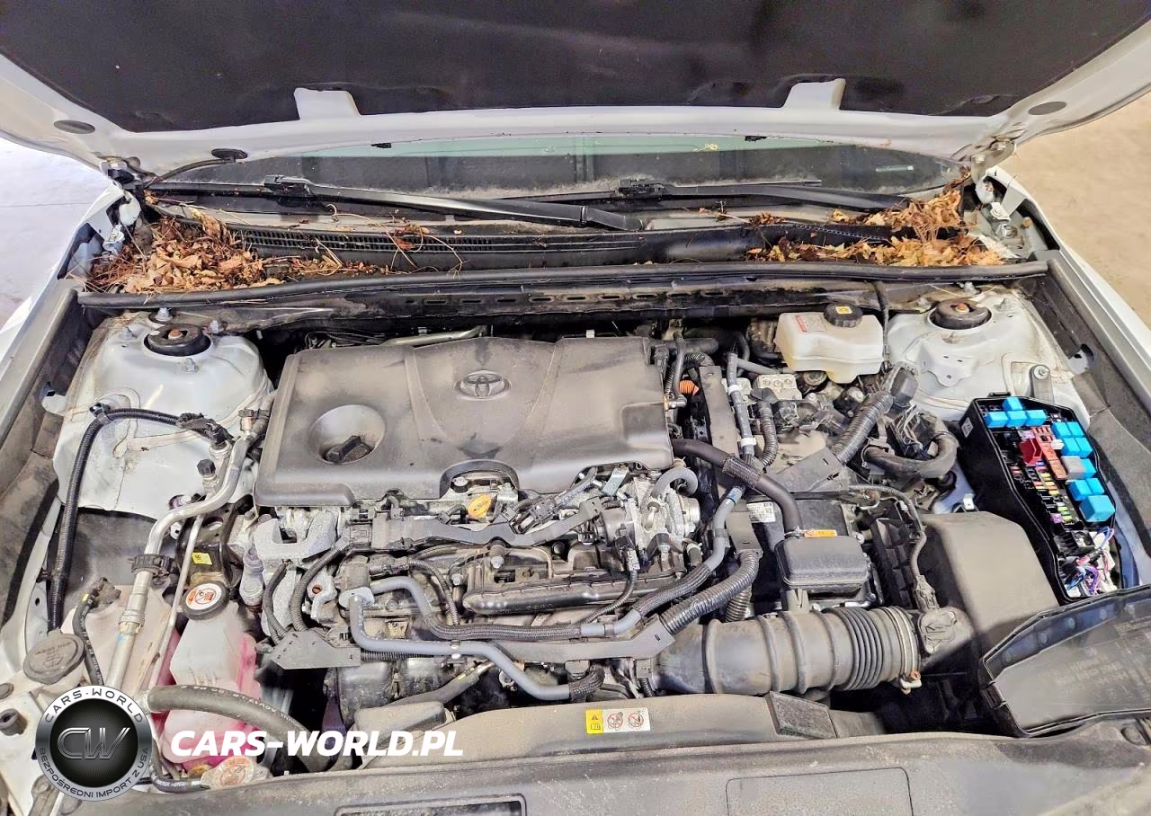 2024 Toyota Camry Le VIN:4T1C31AK8RU628674 - 11